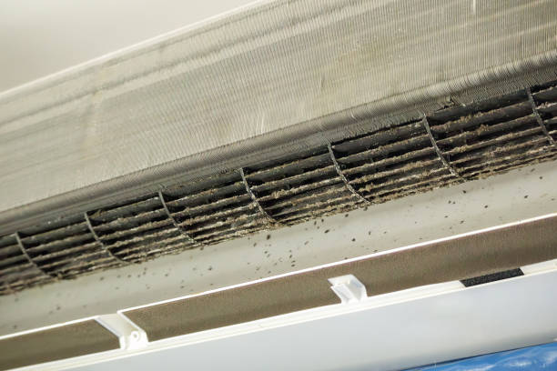 Best Air Duct Sanitizing Services  in Glandorf, OH